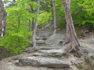waldweg